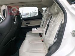 جيتور داشينج